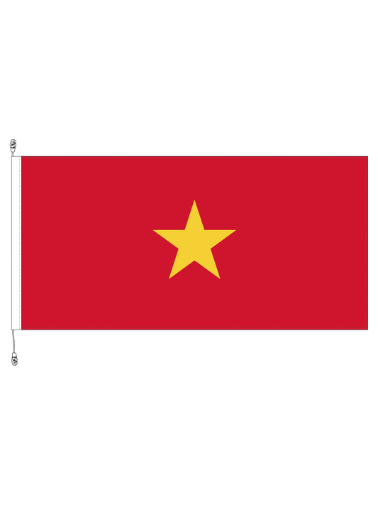 Vietnam Flag