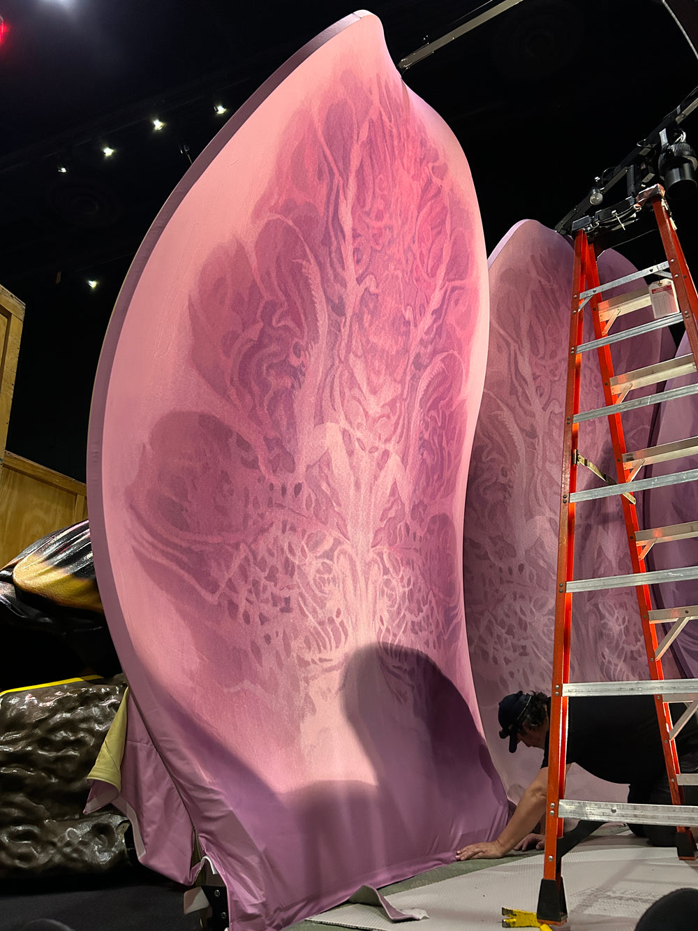 Te Papa Bug Lab International Exhibition Project 2024-25