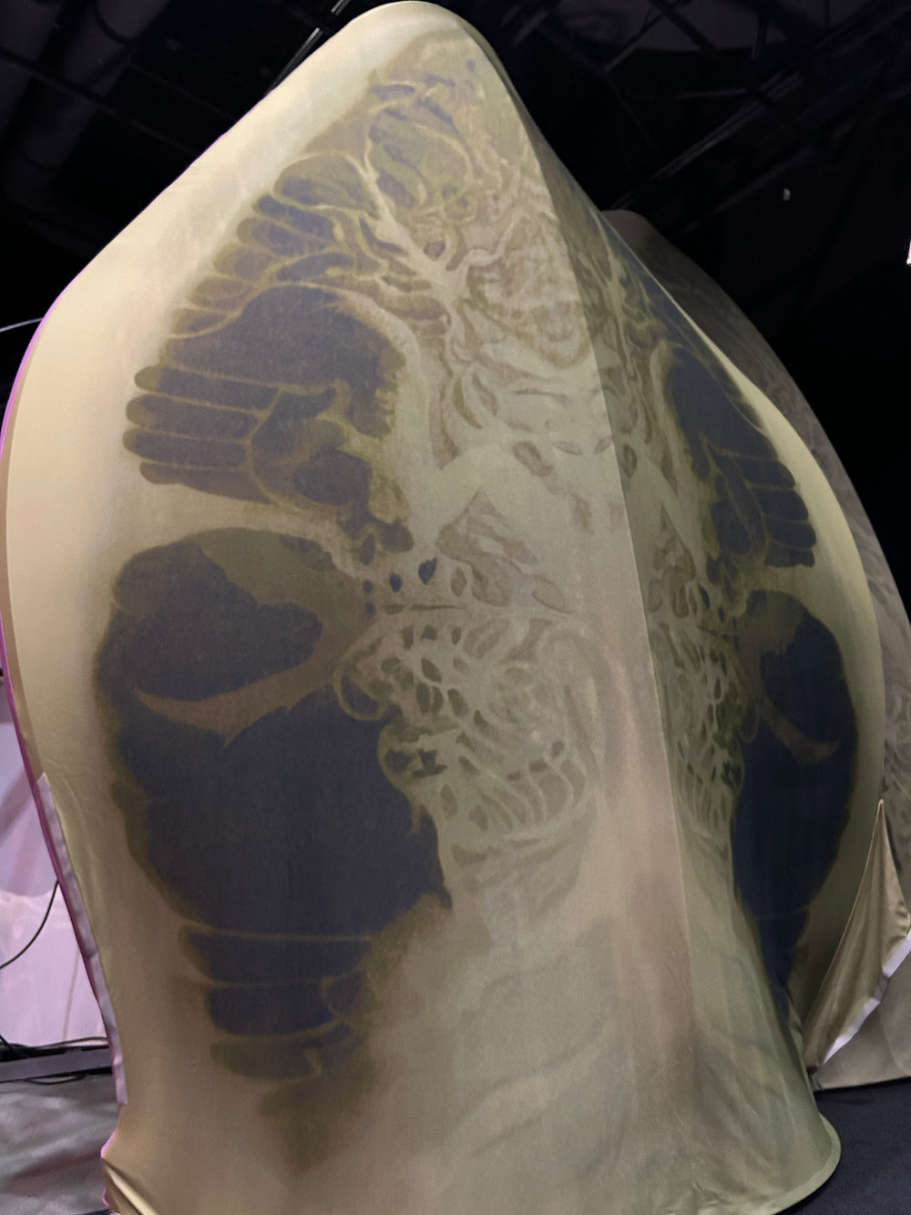 Te Papa Bug Lab International Exhibition Project 2024-25
