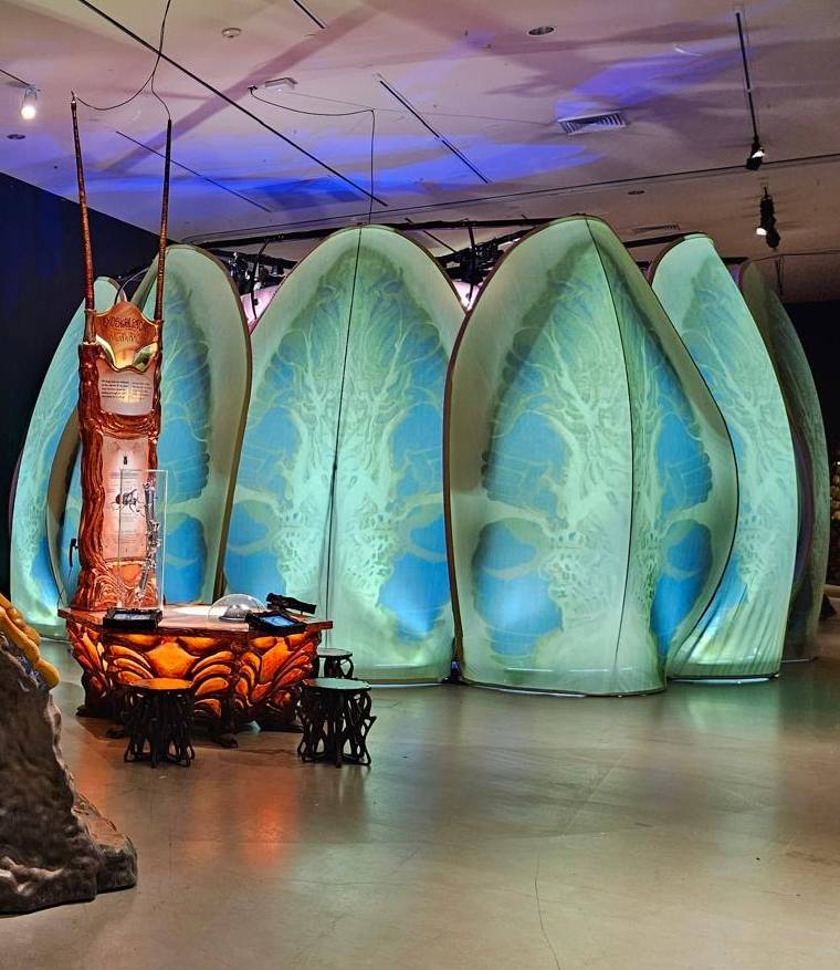 Te Papa Bug Lab International Exhibition Project 2024-25